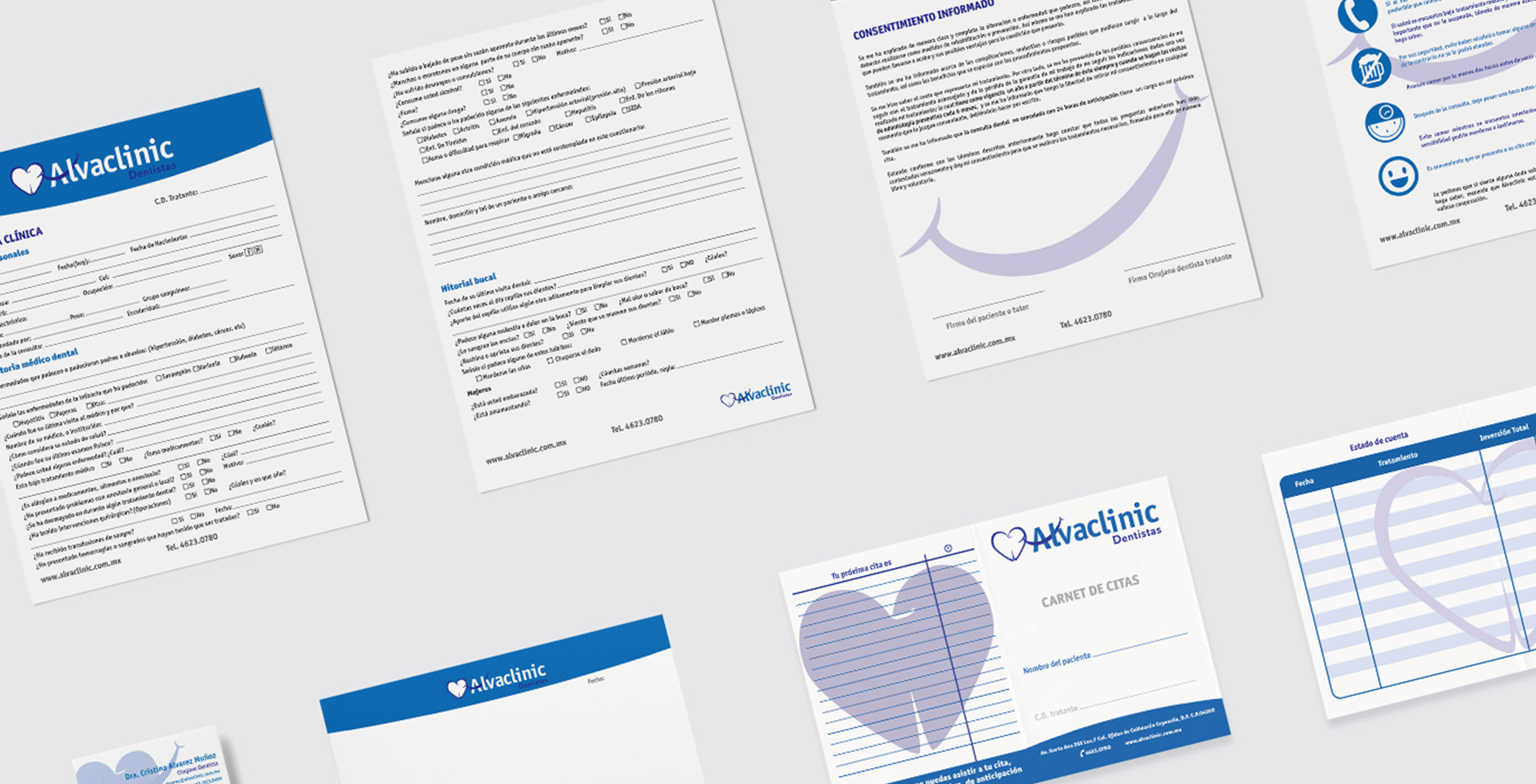 Alvaclinic Dentistas visión de proyecto
