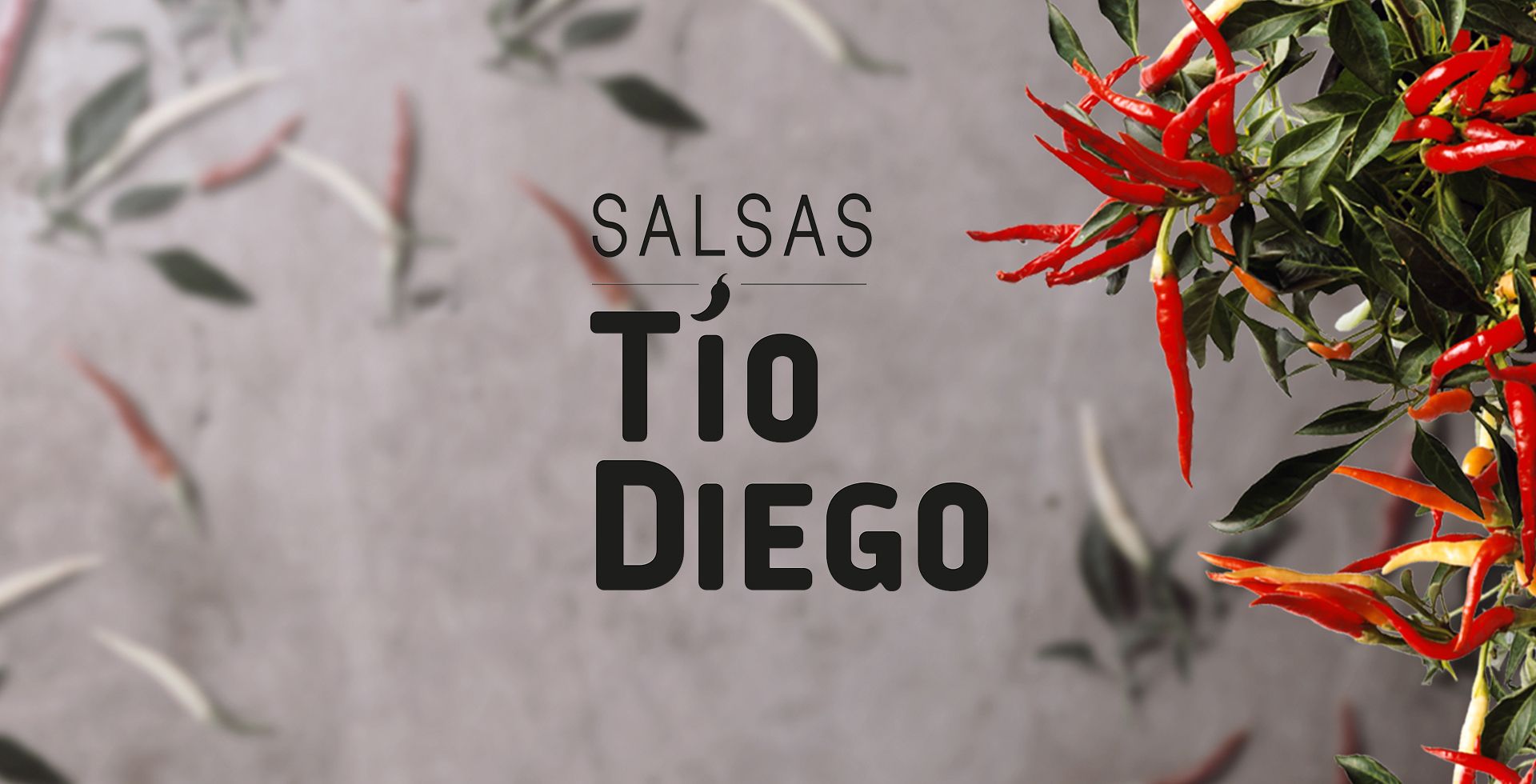 Proyecto Salsas Tío Diego