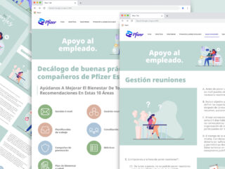 Decálogo de Wellness