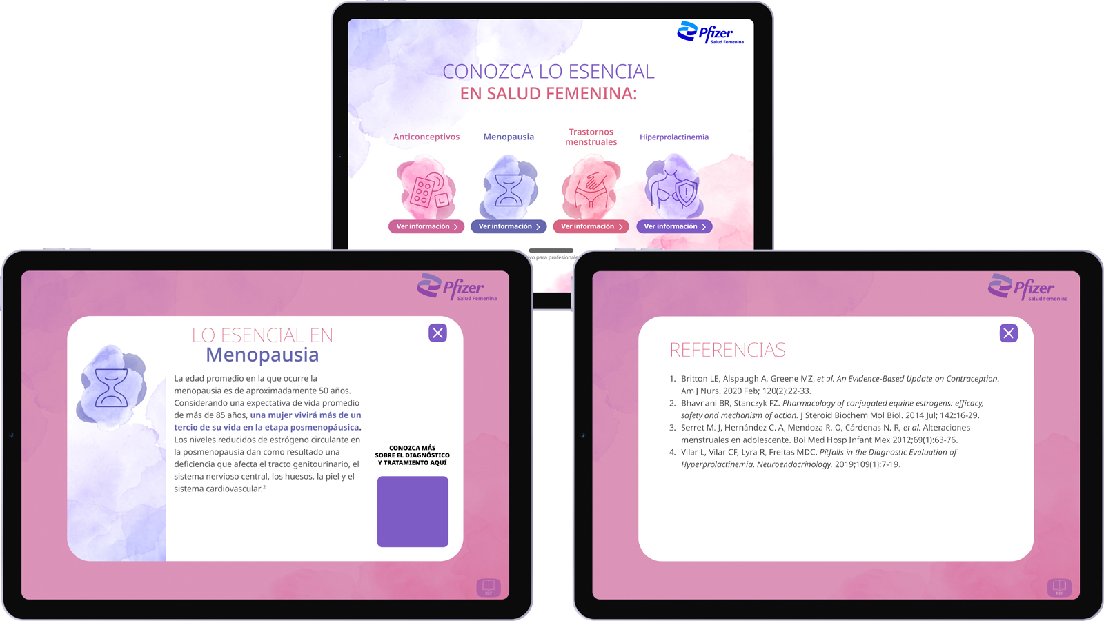 Salud Femenina Estructura de pantallas Muestra de pantalla con las estructuras principales de contenido