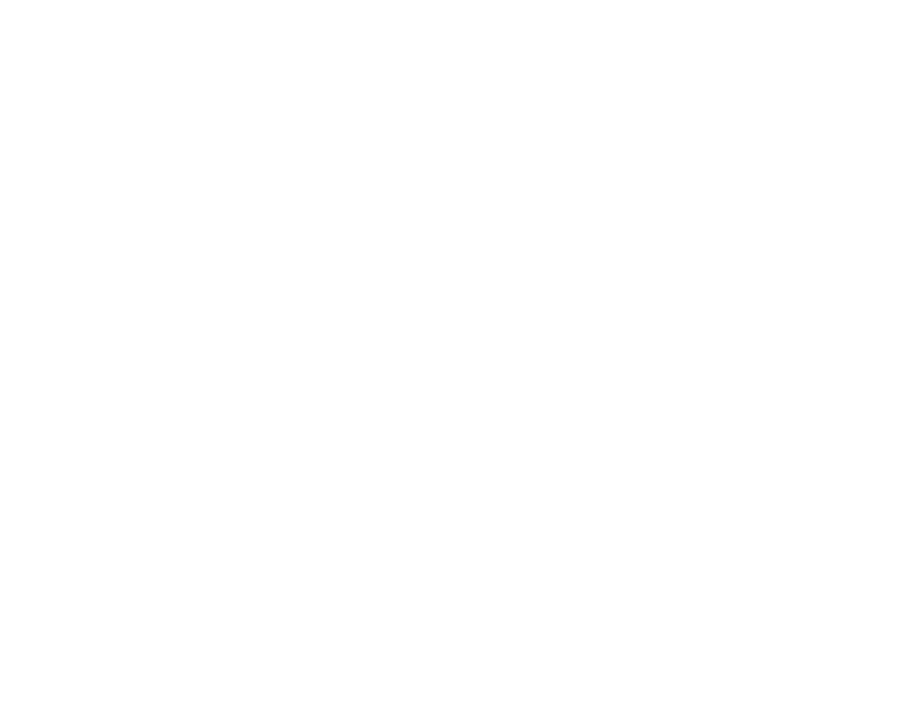 Logo Hospital Privado Anahúac
