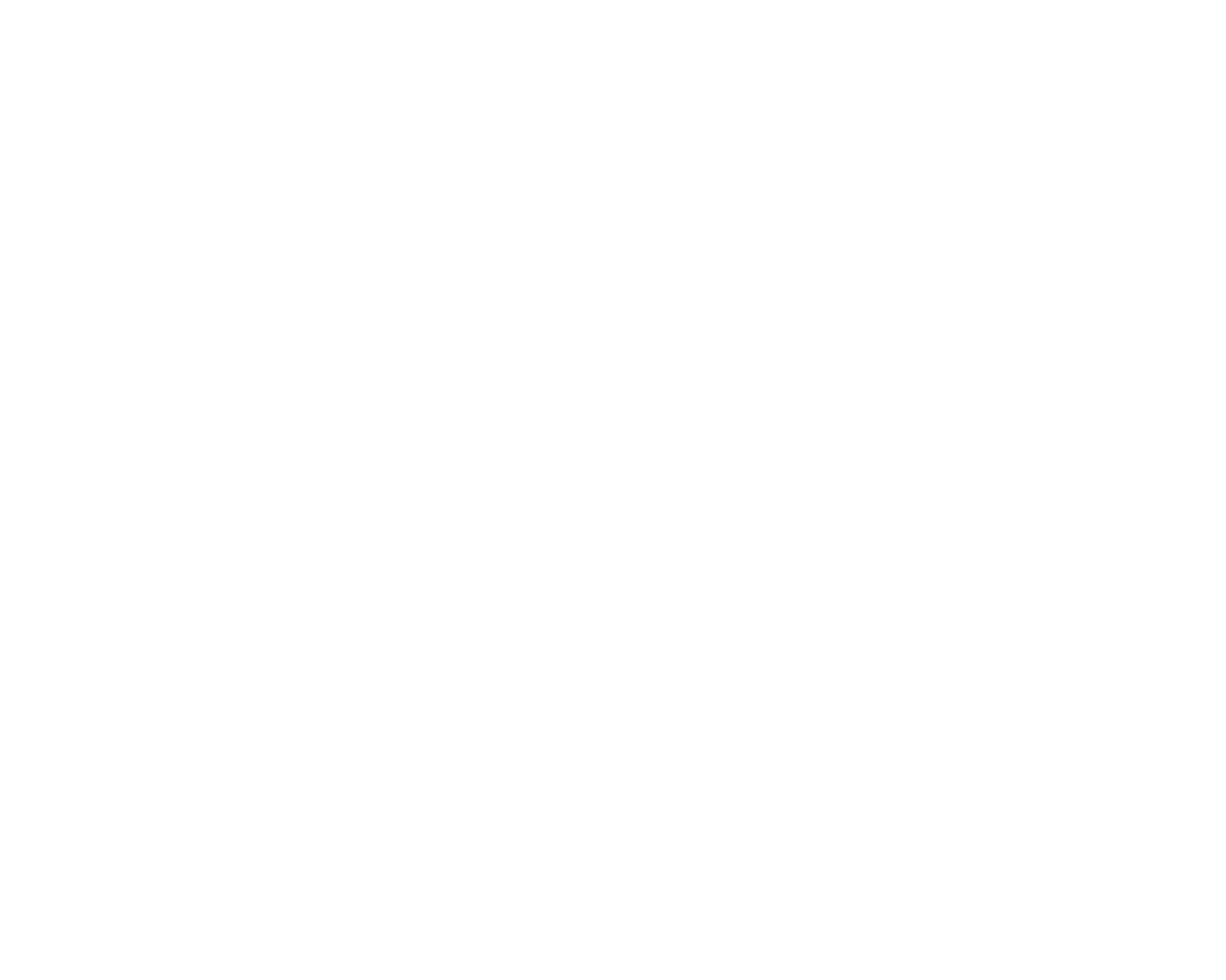 Logo salauno