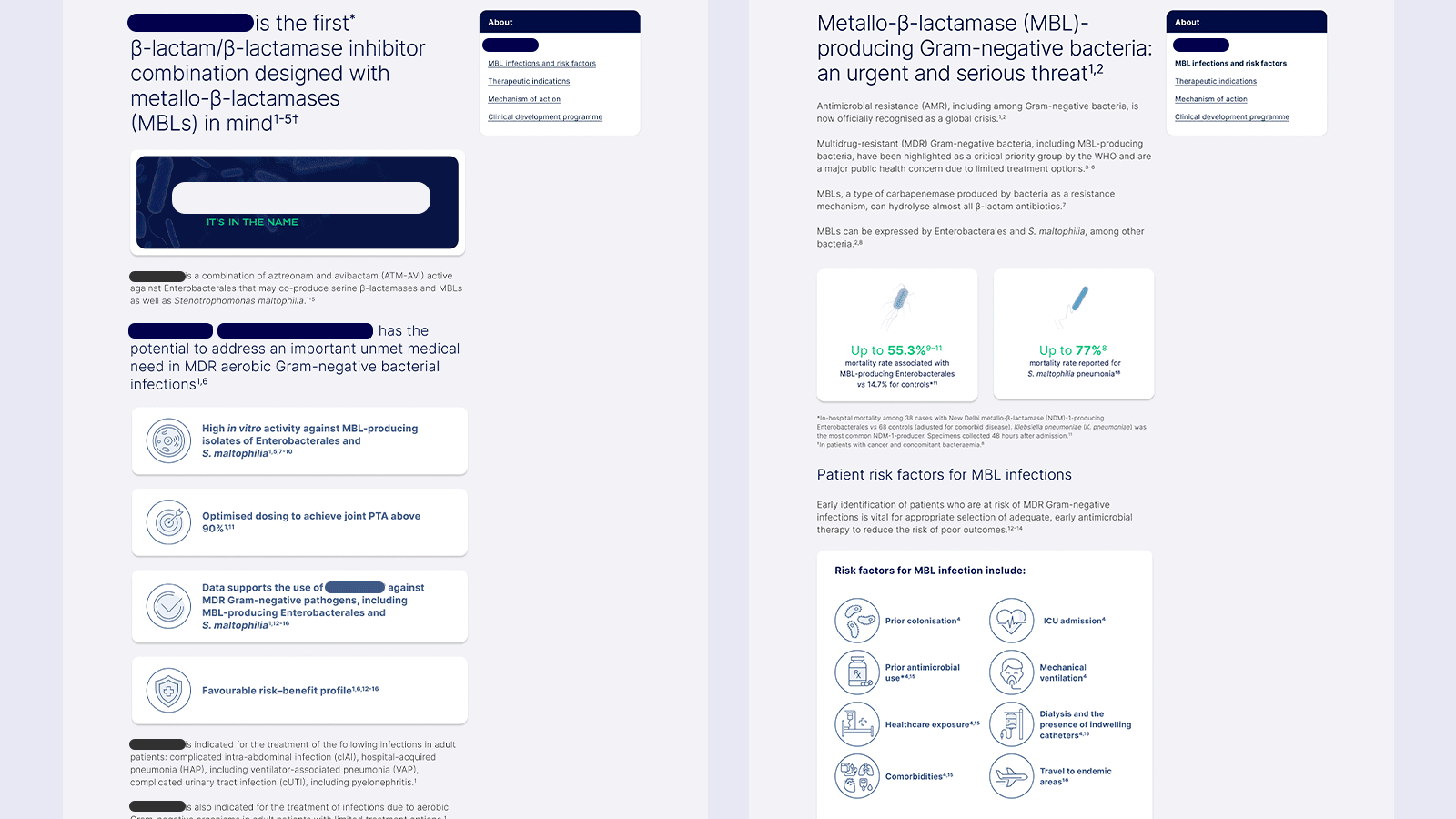 Muestra de páginas del sitio final